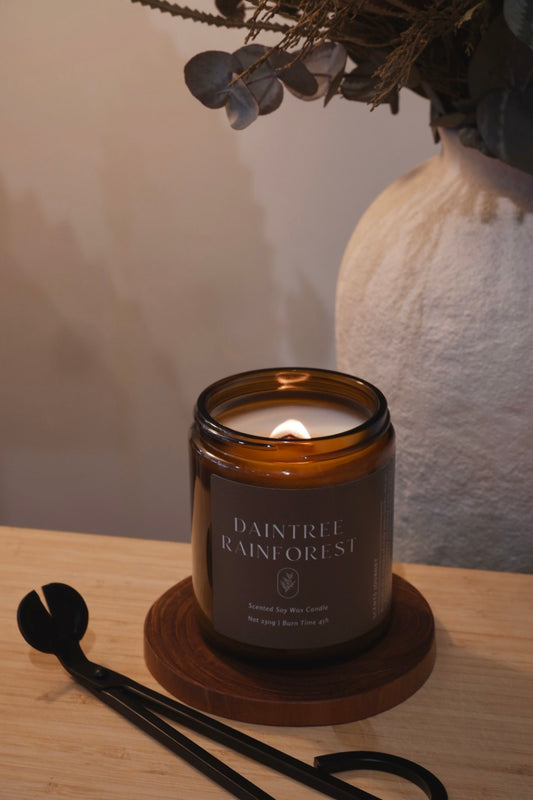 Daintree Rainforest Candle | Paperbark + Petrichor + Verdant Moss