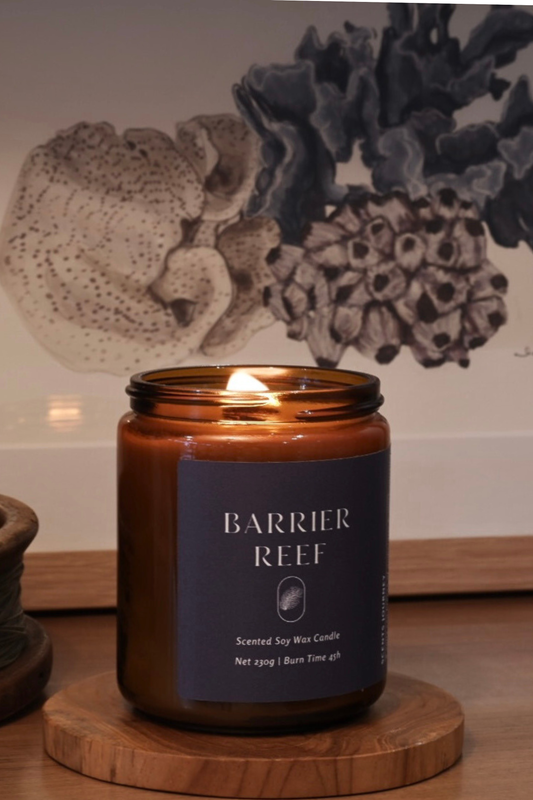 Barrier Reef Candle | Ambergris + Musk + Driftwood + Yuzu