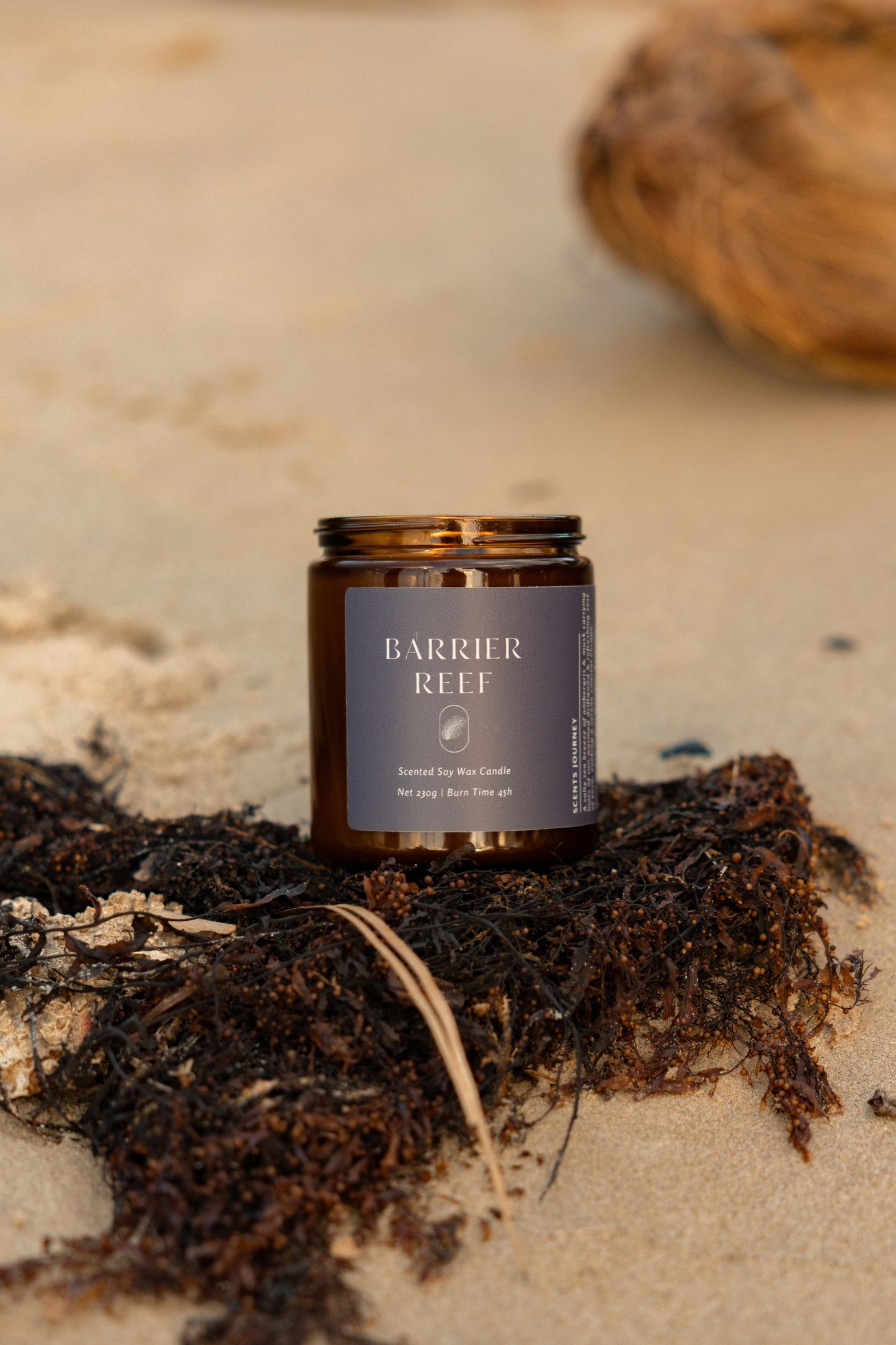 Barrier Reef Candle | Ambergris + Musk + Driftwood + Yuzu