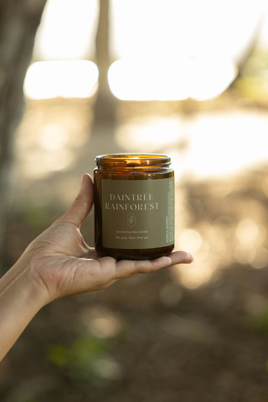 Daintree Rainforest Candle | Paperbark + Petrichor + Moss