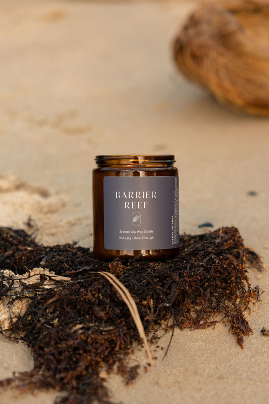 Barrier Reef Candle | Ambergris + Musk + Driftwood + Yuzu